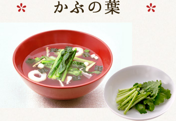 かぶの葉