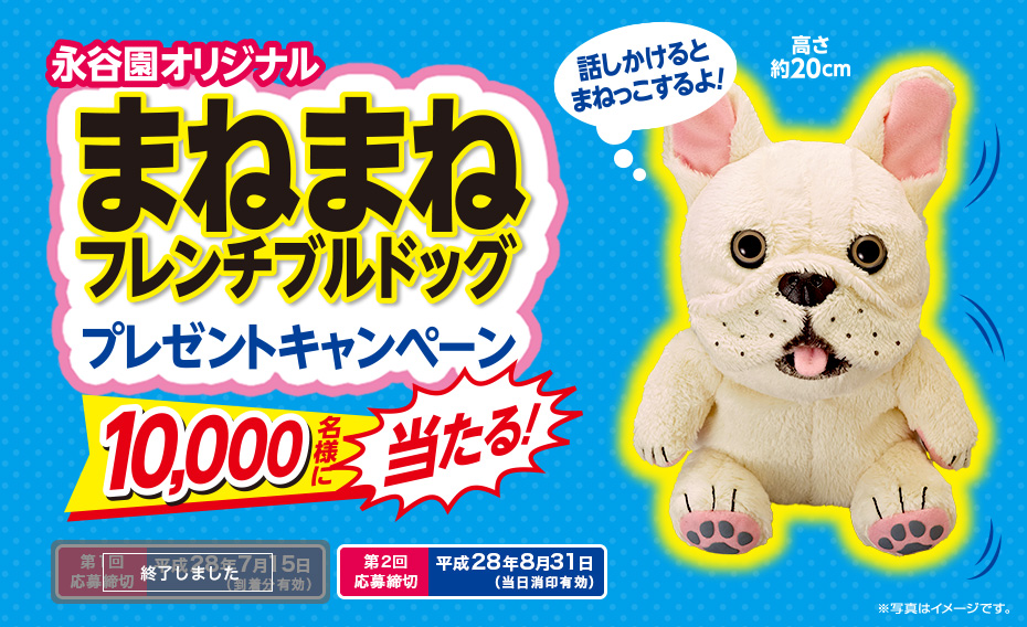 永谷園オリジナル・まねまねフレンチブルドッグ プレゼントキャンペーン 10,000名様に当たる!