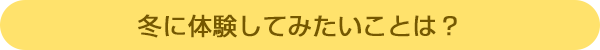 冬に体験してみたいこと