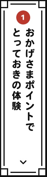 おかげさまポイントでとっておきの体験