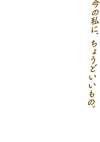 だしごこち │ 今の私に、ちょうどいいもの。いいだし、ほっと、いいここち。