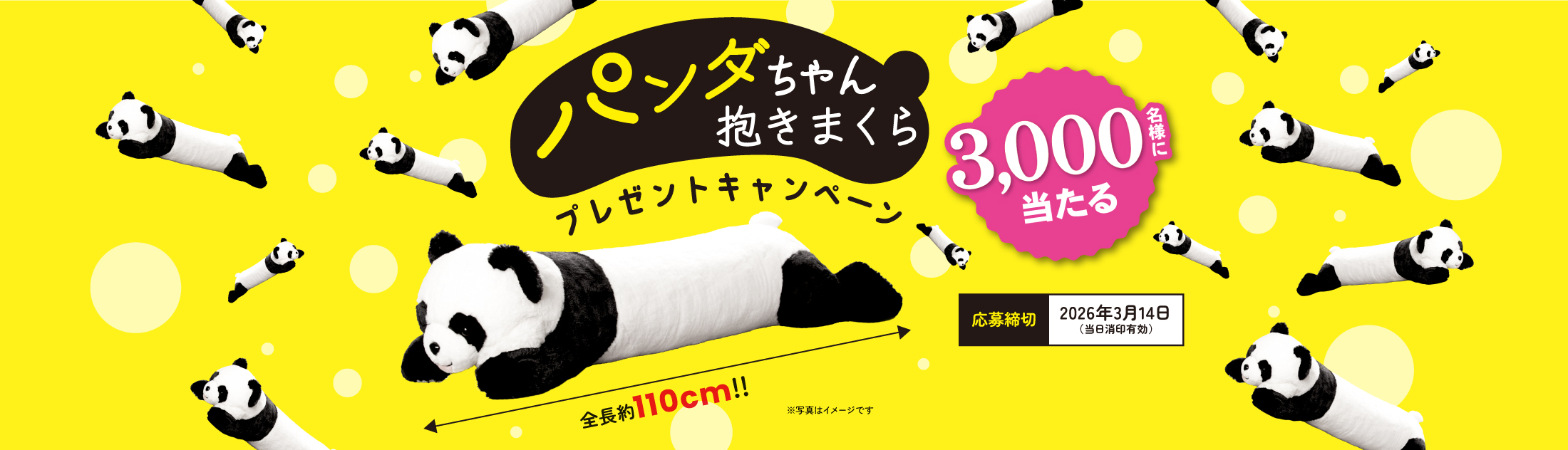 パンダちゃん抱きまくらプレゼントキャンペーン