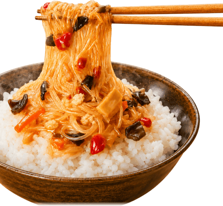 ごはんにのせた麺おかず