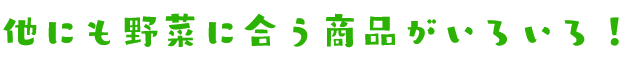 他にも野菜に合う商品がいろいろ！