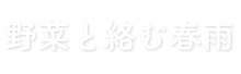 野菜と絡む春雨