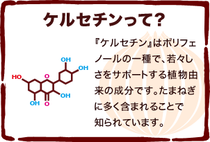 『ケルセチン』はポリフェノールの一種で、若々しさをサポートする植物由来の成分です。たまねぎに多く含まれることで知られています。