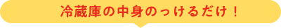 冷蔵庫の中身のっけるだけ♪