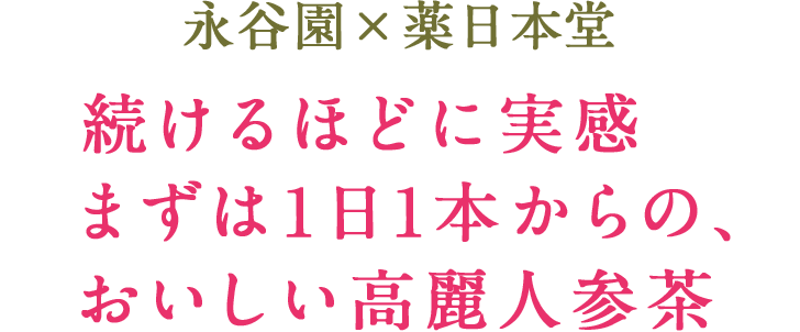 高麗人参 片 500ｇ ２袋 60 Off 500ｇ ２袋