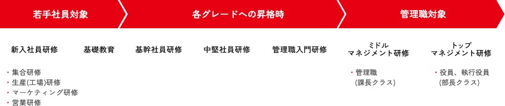 【若手社員対象】新入社員研修（集合研修、生産(工場)研修、マーケティング研修、営業研修）、基礎教育／【各グレードへの昇格時】基幹社員研修、中堅社員研修、管理職入門研修／【管理職対象】ミドルマネジメント研修（管理職(課長クラス)）、トップマネジメント研修（役員、執行役員(部長クラス)）